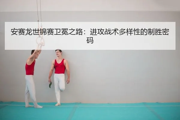 an-sai-long-shi-jin-sai-wei-mian-zhi-lu-jin-gong-zhan-shu-duo-yang-xing-de-zhi-sheng-mi-ma-2-772.jpg